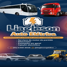 Liagleson auto Eletrica